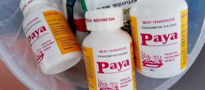 Paya pengempuk daging (sumber: lazada)