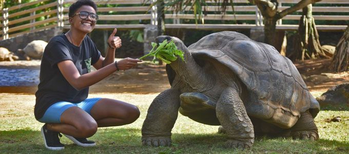 Harga Kura-Kura Aldabra 3 Memelihara kura-kura aldabra (radionigeriaibadan.gov.ng)