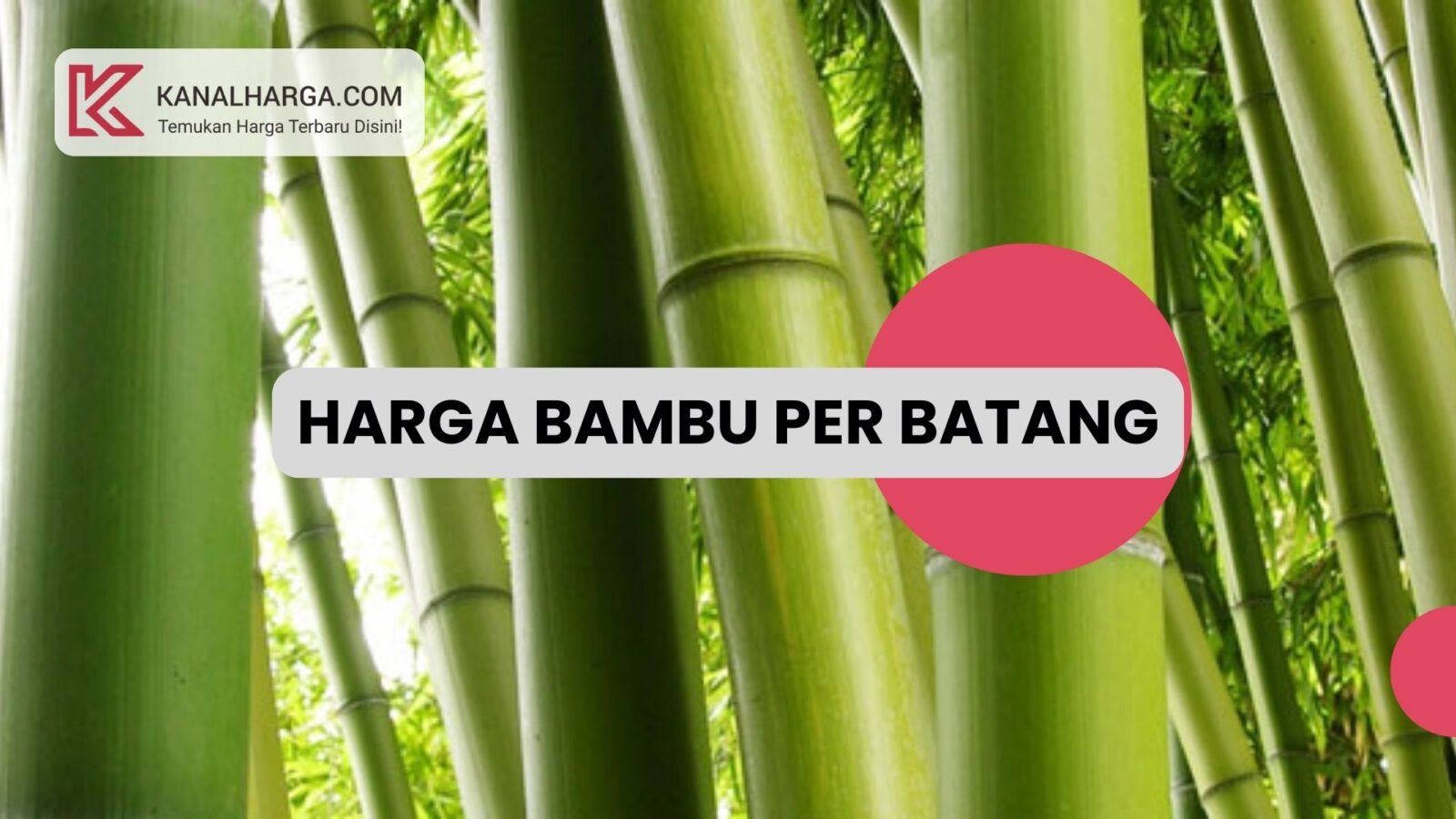 Harga Bambu per Batang Harga Bambu per Batang