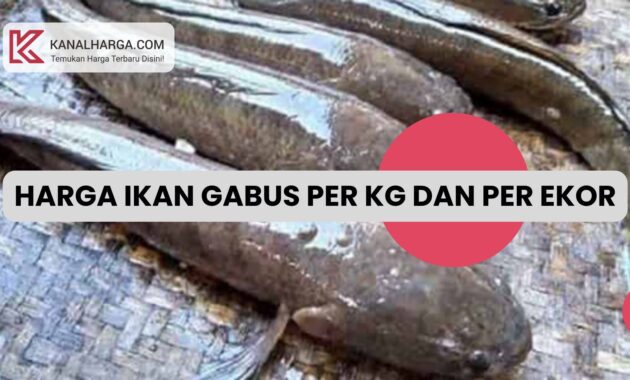 Harga Ikan Gabus per Kg dan per Ekor Harga Ikan Gabus per Kg dan per Ekor