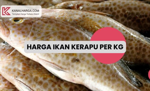 Harga Ikan Kerapu per Kg Harga Ikan Kerapu per Kg