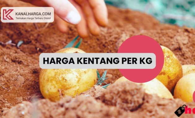 Harga Kentang per Kg Manfaatnya untuk Kesehatan Harga Kentang per Kg & Manfaatnya untuk Kesehatan