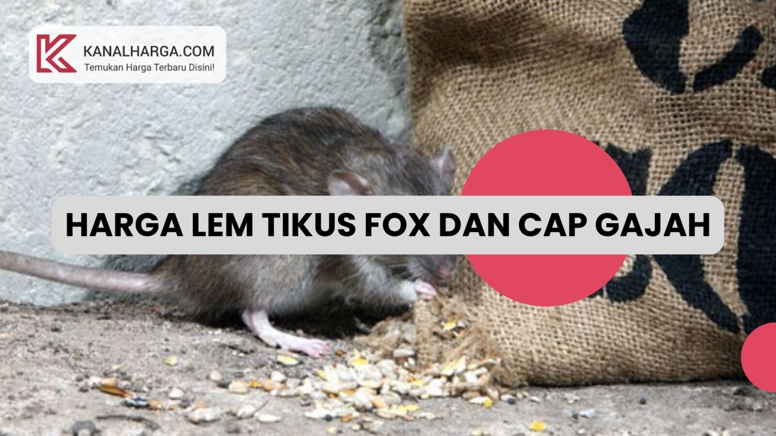 Harga Lem Tikus Fox dan Cap Gajah Harga Lem Tikus Fox dan Cap Gajah