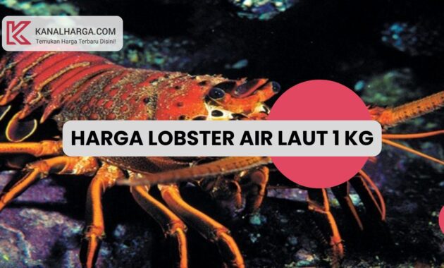 Harga Lobster Air Laut 1 Kg Harga Lobster Air Laut 1 Kg