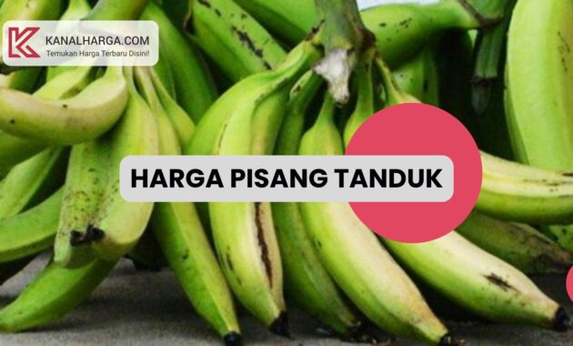 Harga Pisang Tanduk per Buah dan per Sisir Harga Pisang Tanduk per Buah dan per Sisir