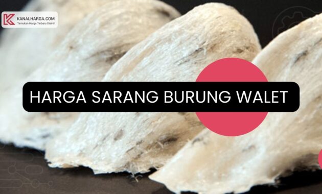 Harga Sarang Burung Walet (Mangkok, Sudut, Patahan) Terbaru