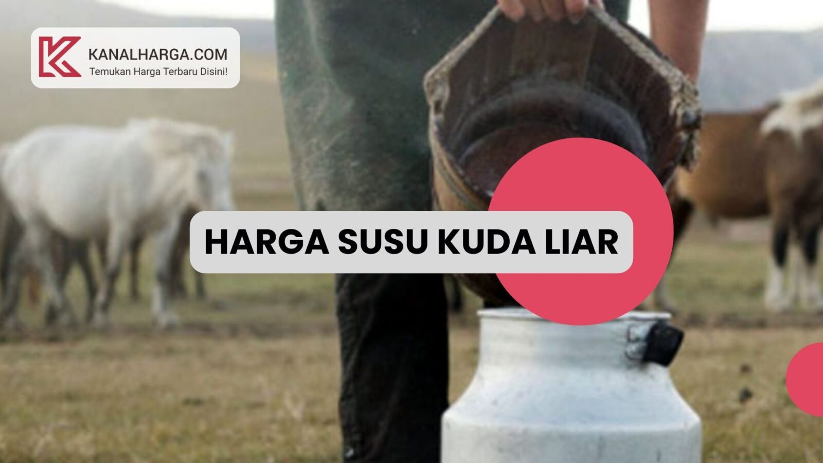 Harga Susu Kuda Liar Kandungan dan Harga Susu Kuda Liar (Botol & Sachet)