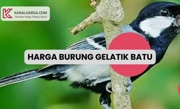 Harga burung gelatik batu Harga Burung Gelatik Batu