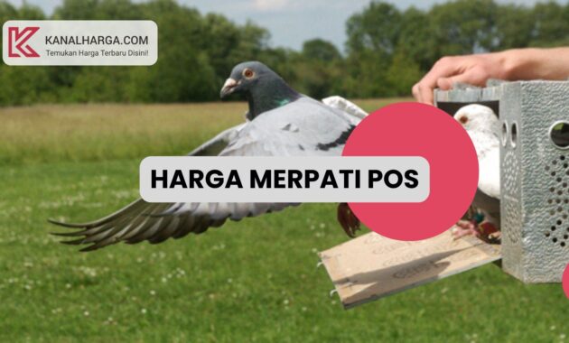 Harga merpati pos Harga Merpati Pos Lomba (Anakan, Indukan, Racing)