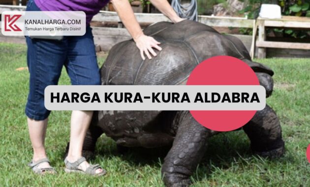 harga kura kura aldabra Harga Kura-Kura Aldabra